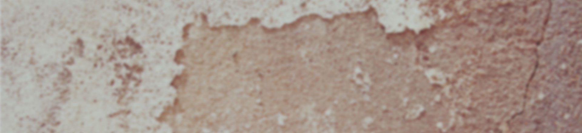 求推荐个免费电话轰炸